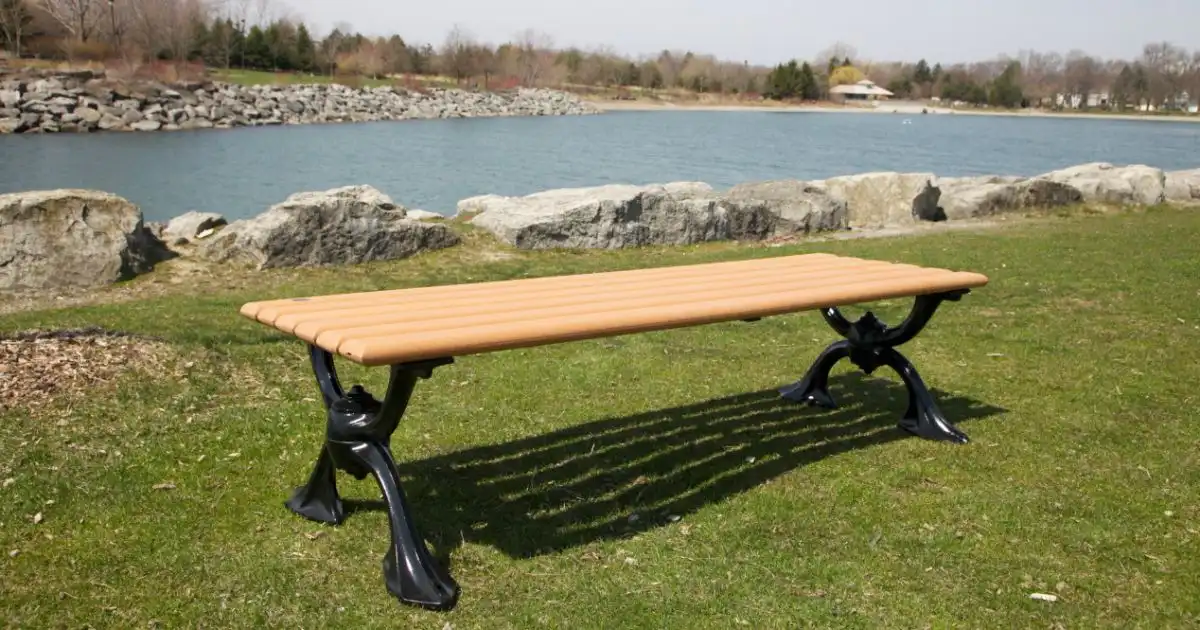 Bench overlooking a riverside view